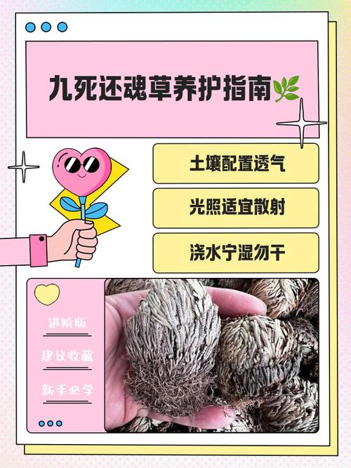 🌿 环保与收尾：入住前的生死线
