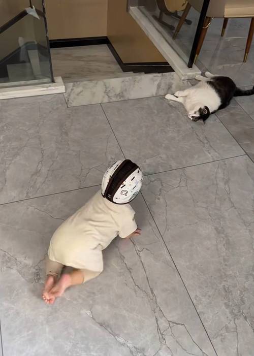 宝宝居家在客厅地毯上自主爬行的松弛状态实拍