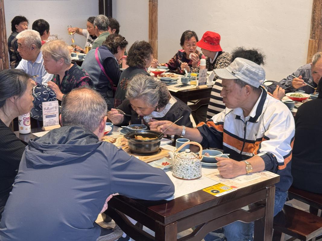银发老人公园结伴喝茶吃饭日常场景