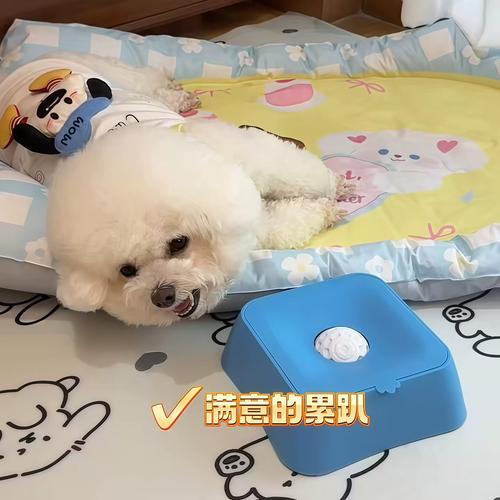 狗狗慢食碗漏食球