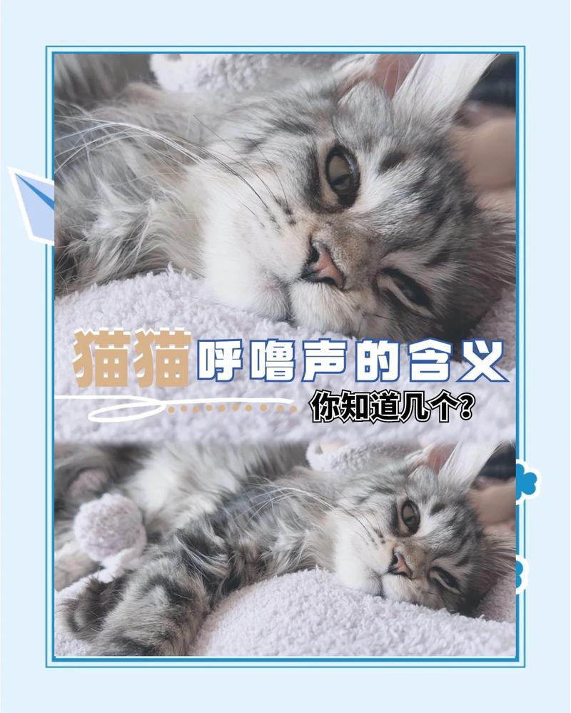 咕噜声：不只是开心那么简单