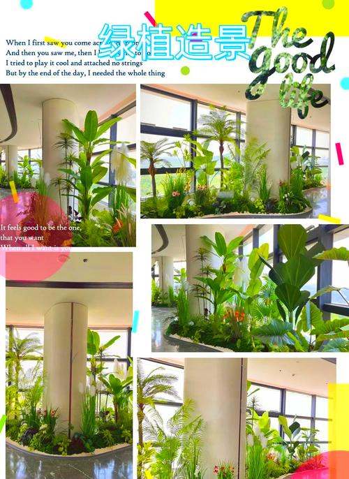 办公桌面靠窗位置绿植摆放温度示意图