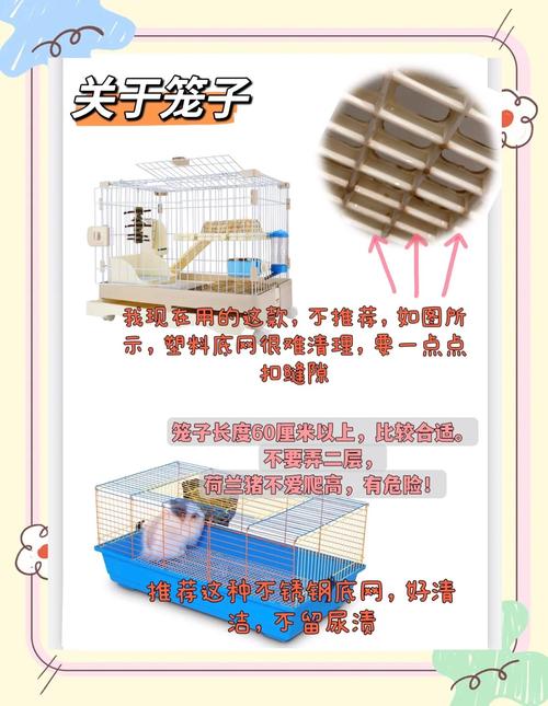 饲养小动物日常喂食和清理笼舍步骤示意图