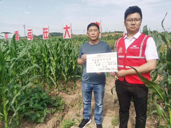 农户办理种植险投保签单现场图