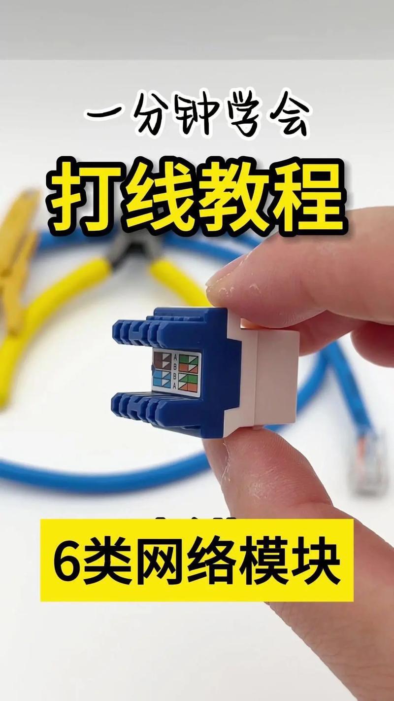 六类非屏蔽网线打模块过程示意