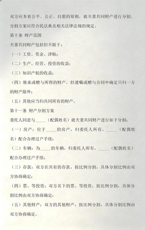 离婚财产分割庭审记录文件