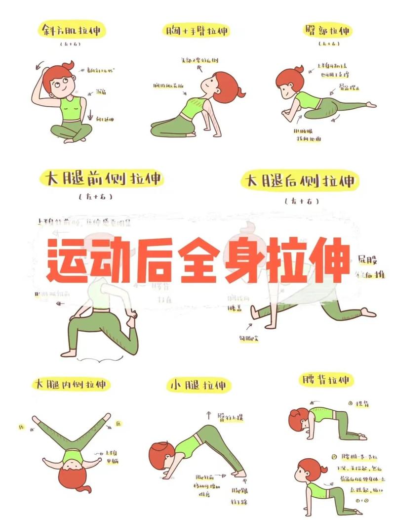 步行锻炼后的拉伸放松动作示范