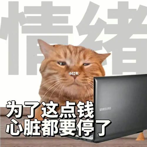 实习到一半想跑路？先问自己3个问题再走