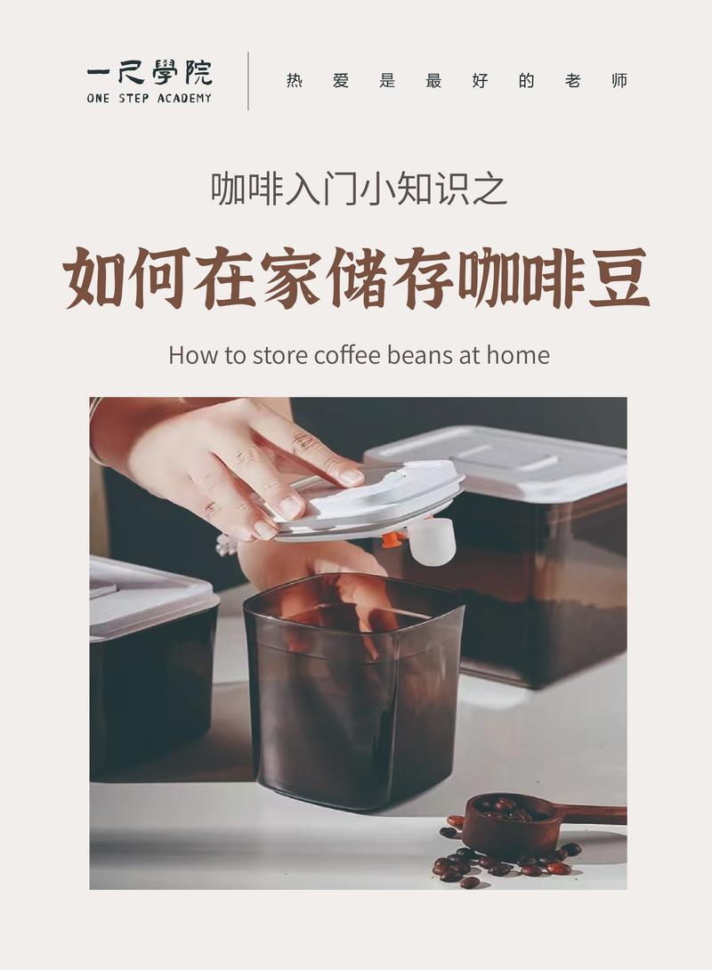 存储与新鲜度:你的咖啡豆何时最美?