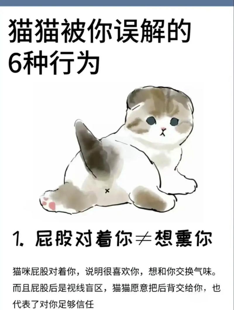关于萌宠日常，你可能还想知道这些
