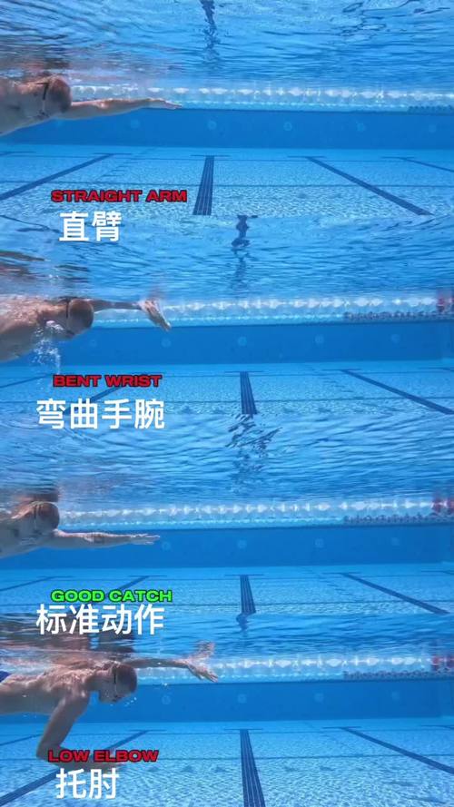 自由泳划水效率低对比示意图