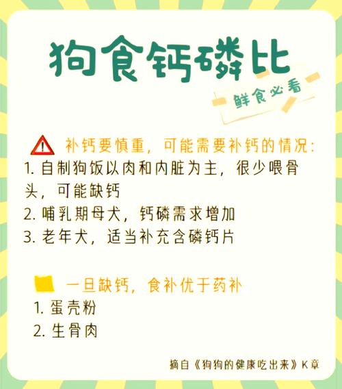 宠物鲜食钙磷比失衡影响骨骼发育示意图