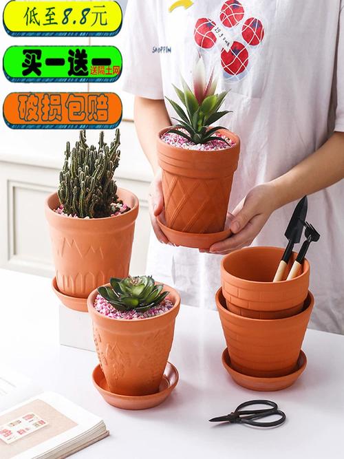粗陶盆和上釉陶瓷盆栽种绿植排水对比实拍