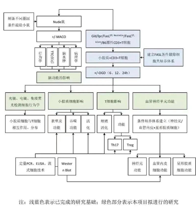 产学研的2025:别让转化成了玄学