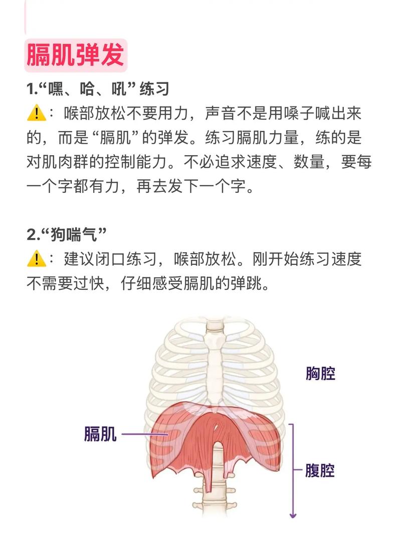 配音气息练习膈肌训练示意图