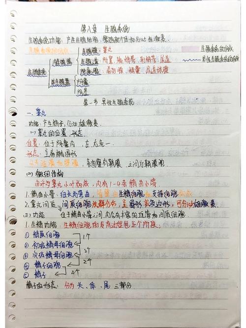 医学生考研手写笔记密密麻麻