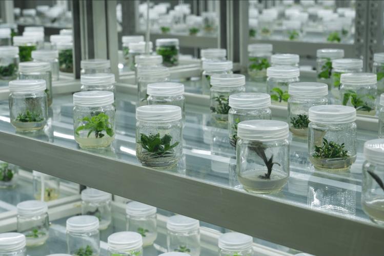 逛完省生物所实验室开放日，我才知道我们的科研早就悄悄落地了