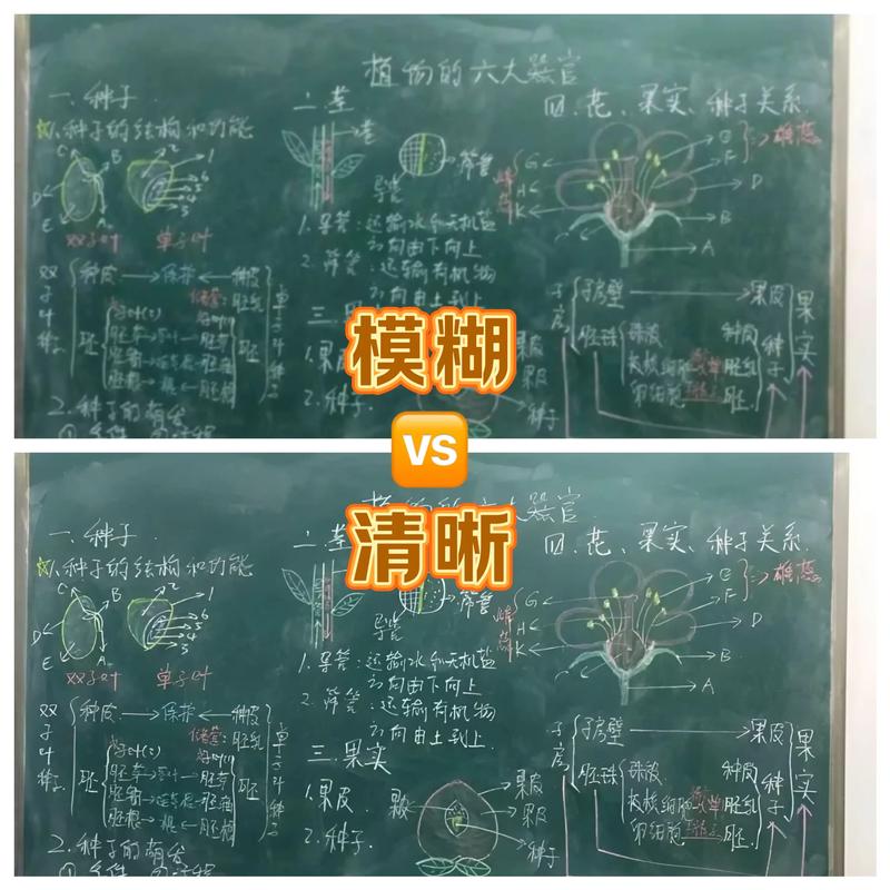 大学教室后排学生低头玩手机与黑板板书对比
