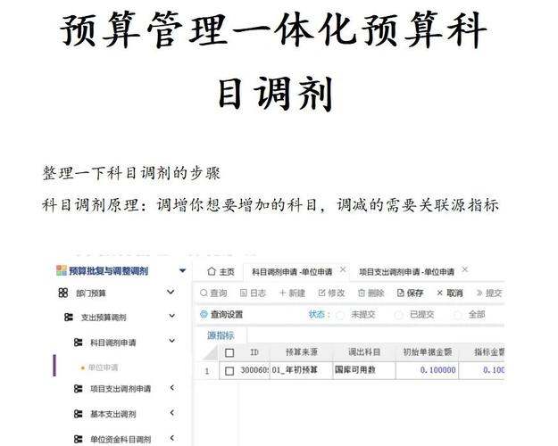 预算与后期调整问题