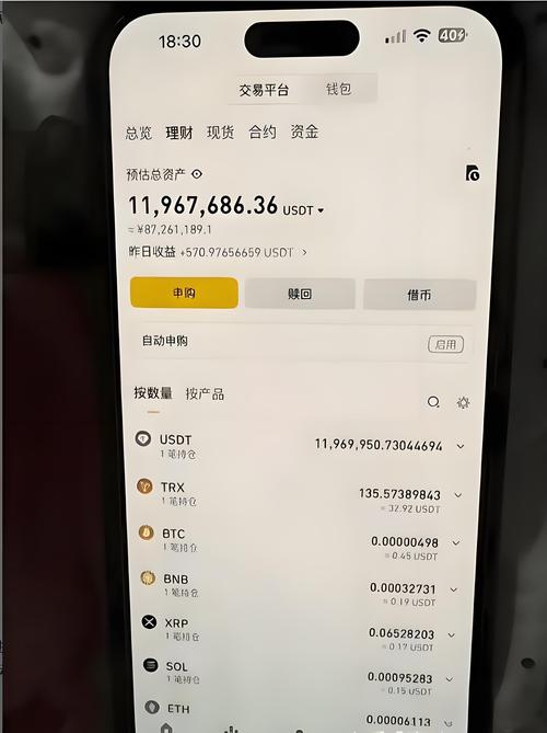 DAO国库虚拟资产链上交易记录截图
