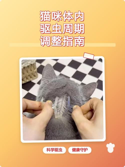 特殊情况，记得主动调整驱虫周期