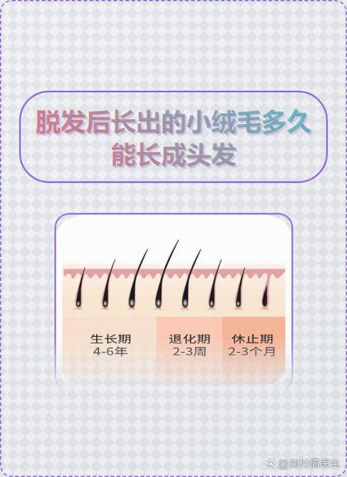 老骨头长出新绒毛
