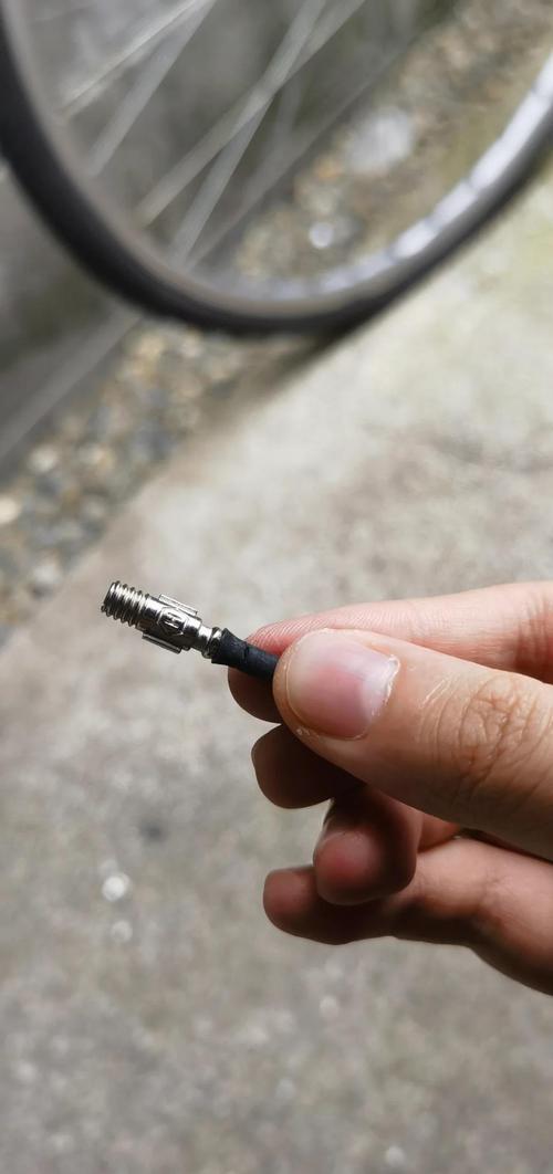 真要自己动手查,别上来就撬气门芯
