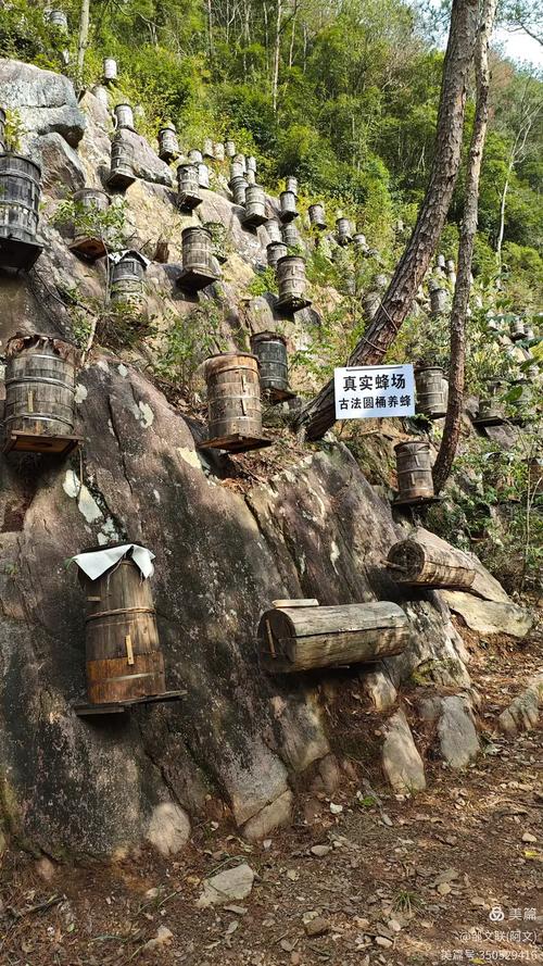 藏在荆山深谷的甜:我私藏的南漳土蜂蜜-南漳旅游