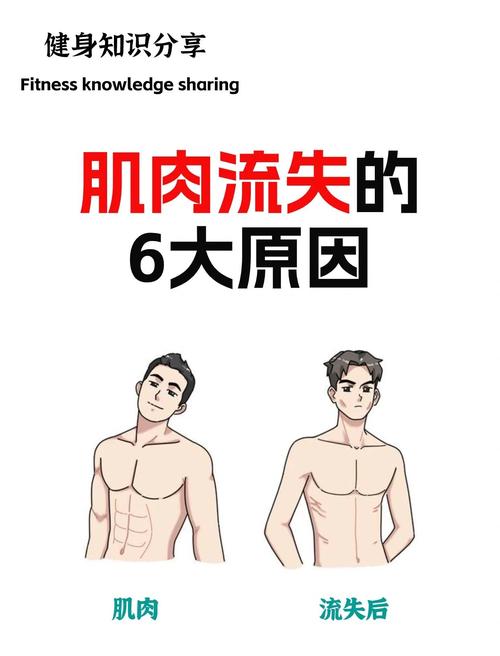 睡眠和压力——被忽视的肌肉杀手