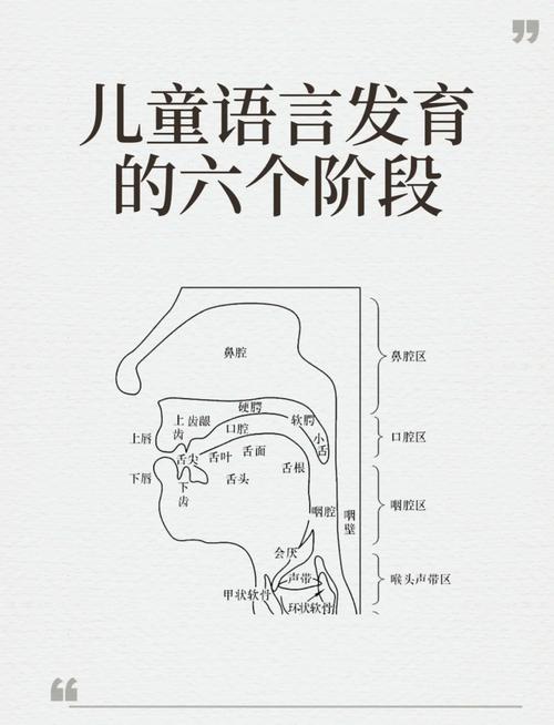儿童认知词汇形成过程示意图