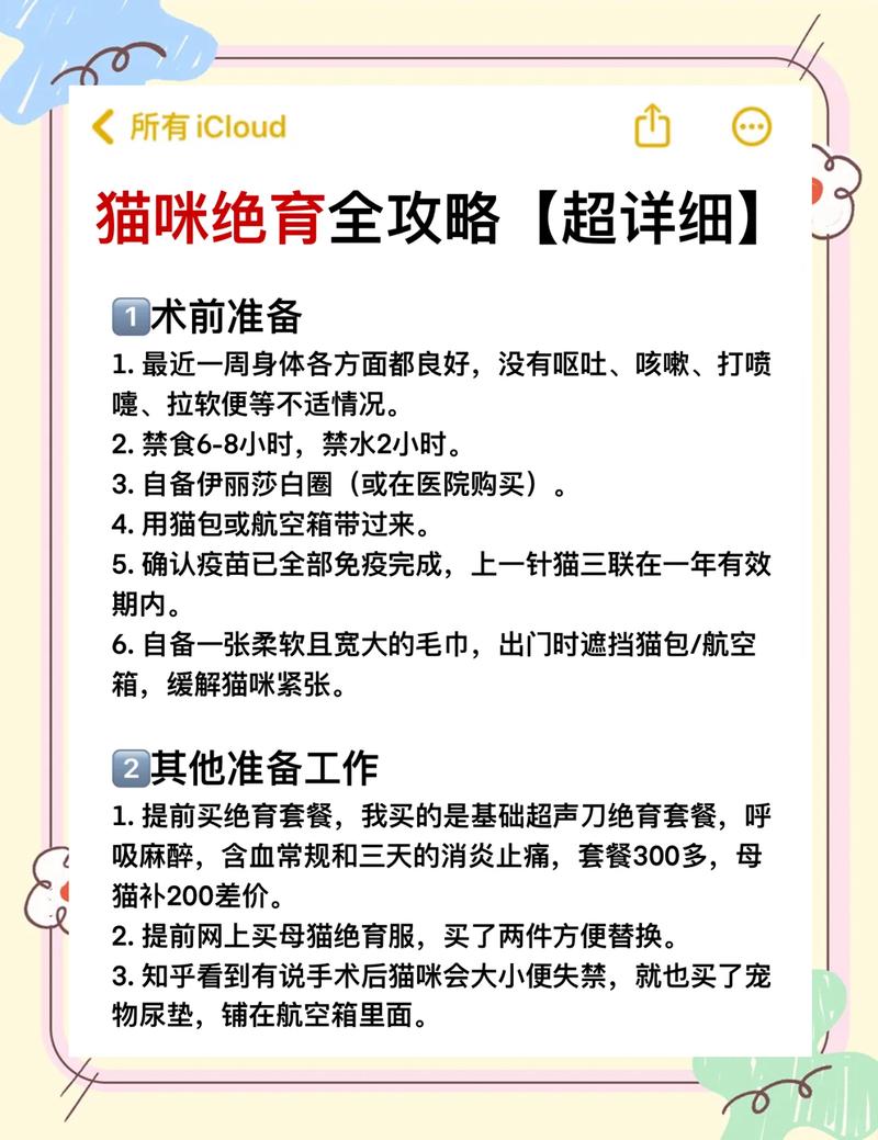 宠物绝育术后禁食禁水注意事项实拍