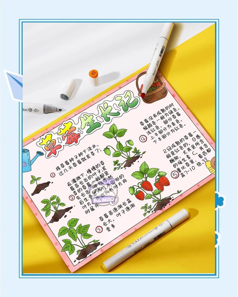 小朋友手绘的植物生长观察日记手账
