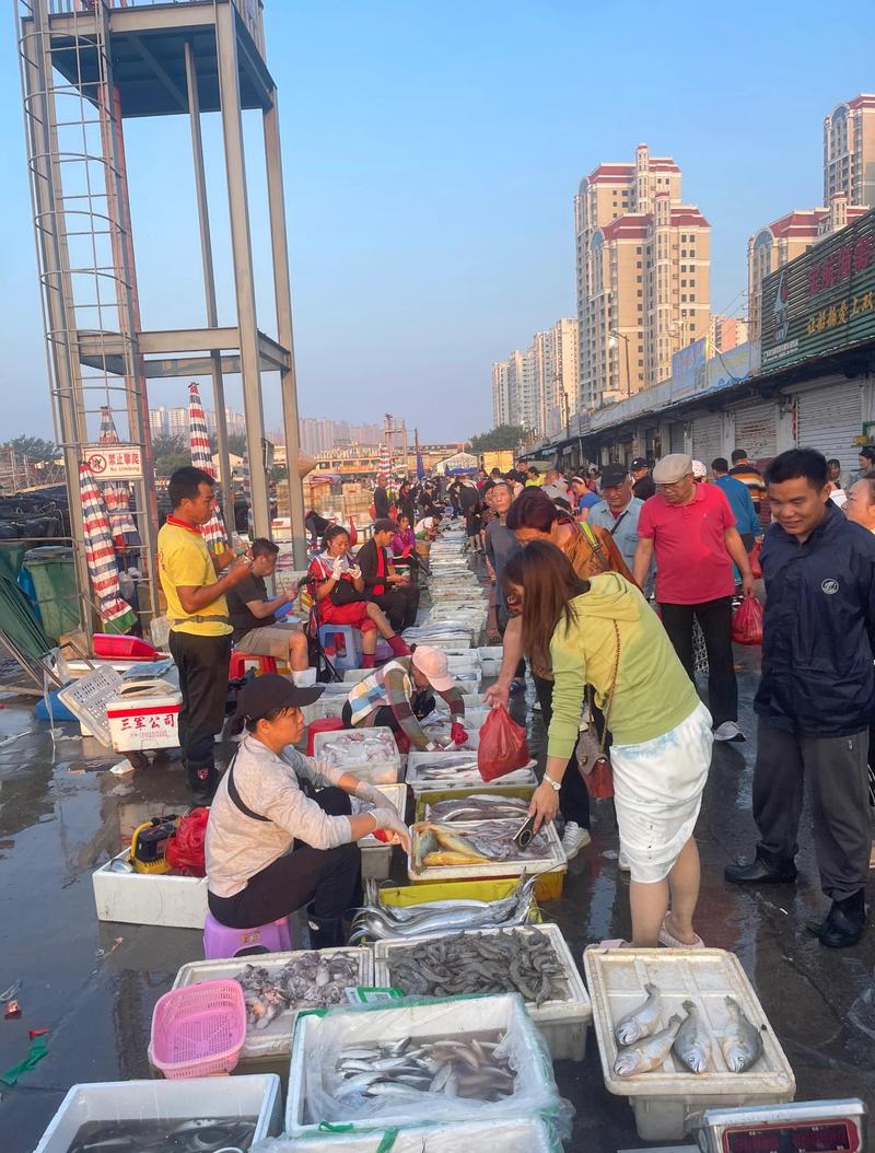 北海早市海鲜摊贩叫卖