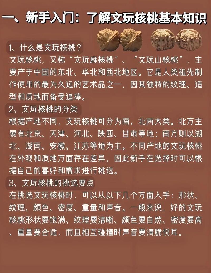 核桃:从木槌敲击到脑科学,一颗坚果的硬核真相-因为所以