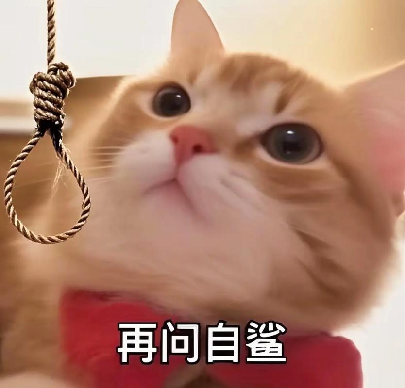 你觉得它在思考?别逗了