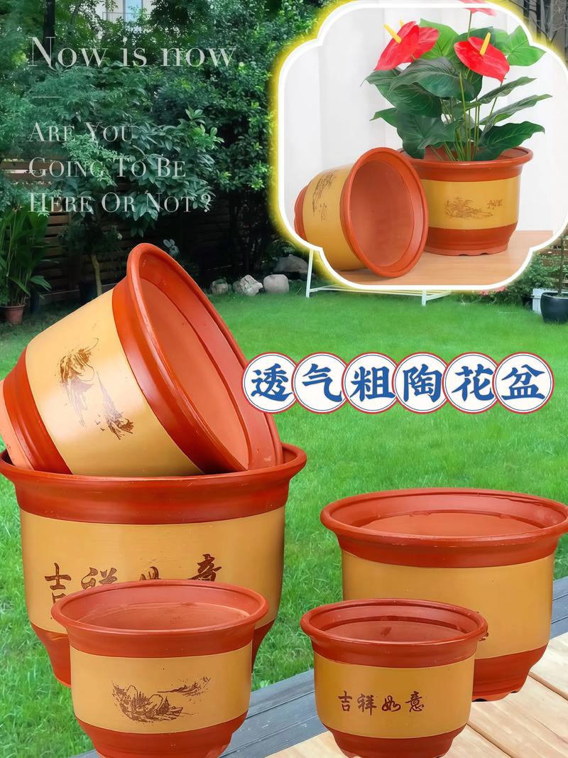 透气花盆对比 青山盆 陶盆 绿植养护