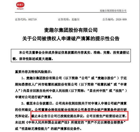 个人破产申请驳回原因分类统计表格