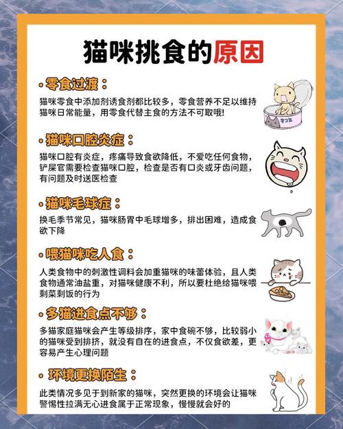 猫咪挑食原因排查对照表