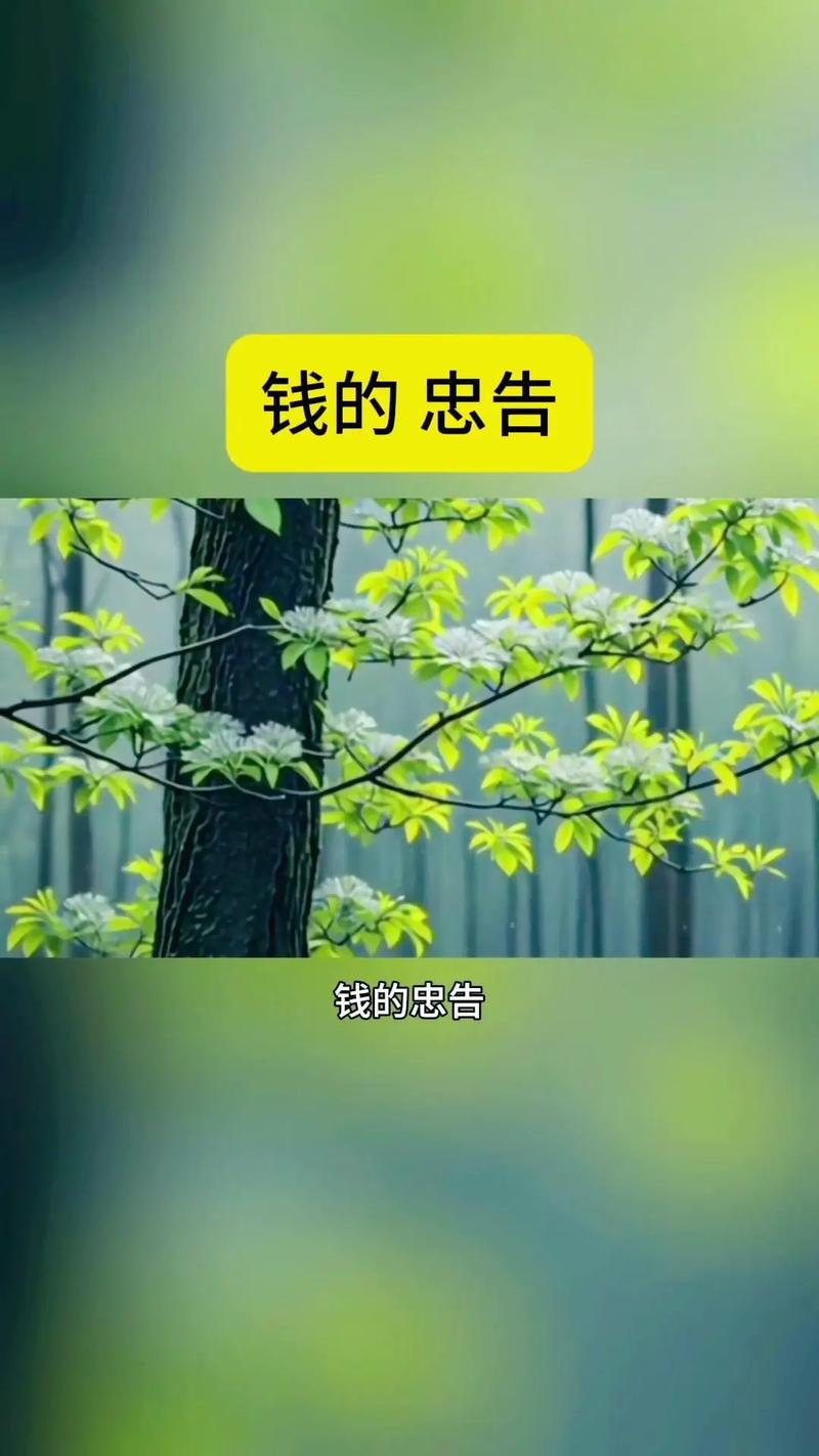 五、我的终极忠告:把钱花在体验上
