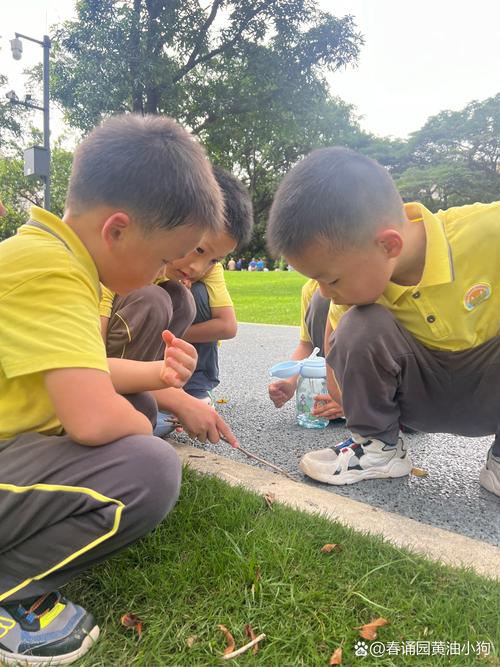 幼儿蹲在地上专注数着彩色石子