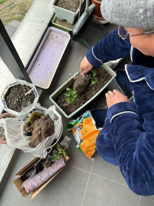 喂植物其实是喂自己