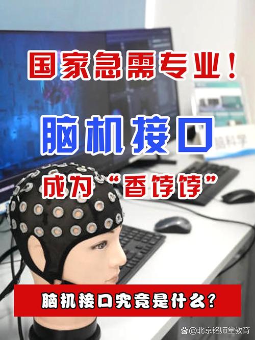 脑机接口：别光盯着猴子打字了，寂静才是金