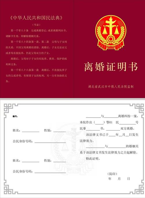 法院认可离婚证据整理模板