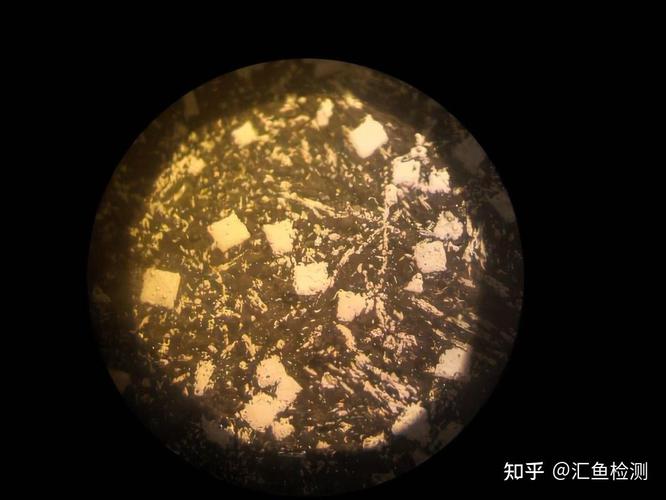 真空镀膜腔室内壁污染物金相显微镜图