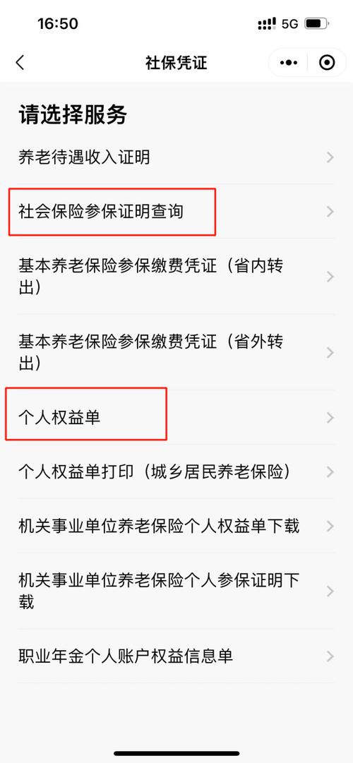 灵活就业人员社保个人权益记录单查询入口示意图