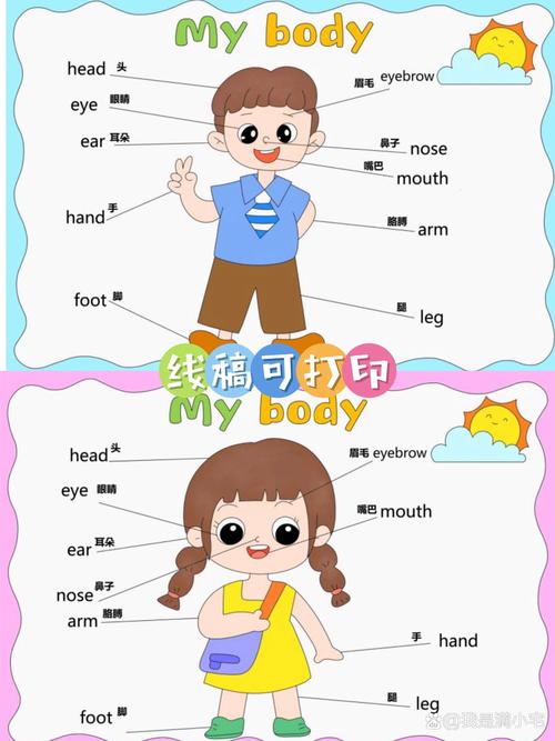 小学跨学科身体部位head主题学习活动海报