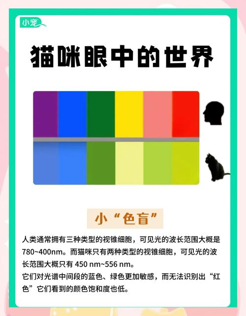 看得见的参数和看不见的猫腻