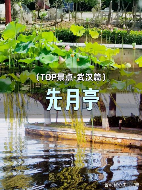 三、东湖和兰亭:小众但暗藏玄机,预约有捷径