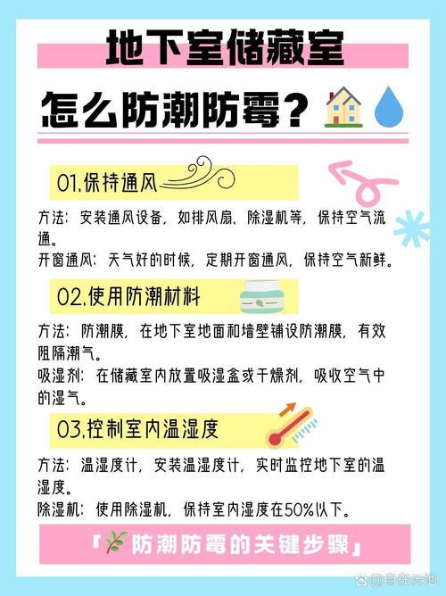 二、防潮与通风:储藏室变霉菌培养皿?不能忍