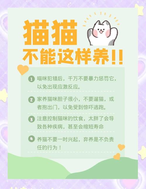 维护，要像养猫一样